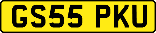 GS55PKU