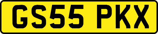 GS55PKX