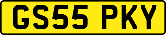 GS55PKY