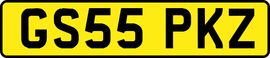 GS55PKZ