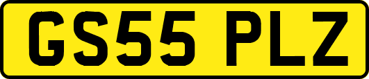 GS55PLZ