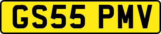 GS55PMV