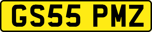 GS55PMZ