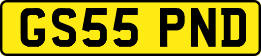 GS55PND