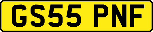 GS55PNF
