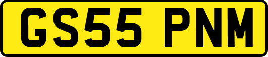 GS55PNM