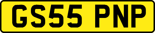 GS55PNP
