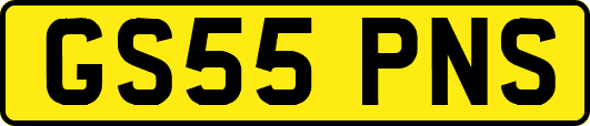GS55PNS