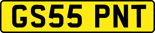 GS55PNT
