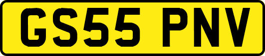 GS55PNV