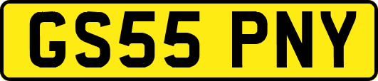 GS55PNY