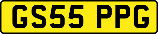 GS55PPG