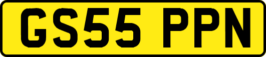GS55PPN
