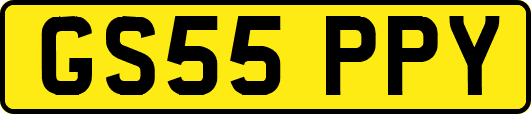 GS55PPY