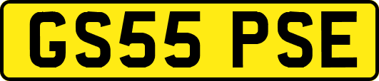 GS55PSE