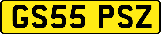 GS55PSZ