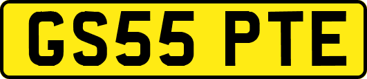 GS55PTE