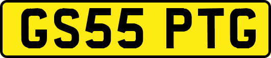 GS55PTG