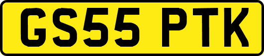 GS55PTK