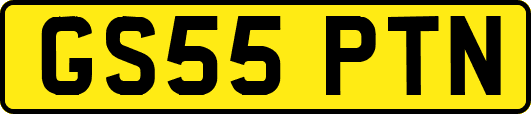 GS55PTN