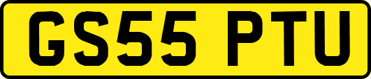 GS55PTU