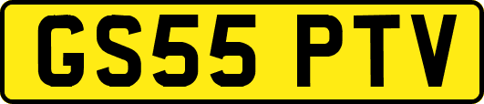 GS55PTV