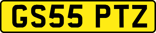 GS55PTZ