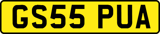 GS55PUA