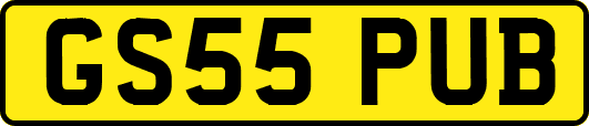 GS55PUB