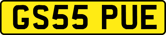 GS55PUE