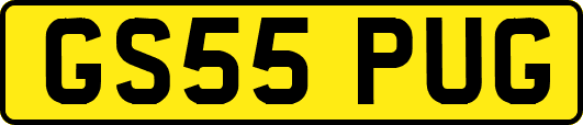 GS55PUG