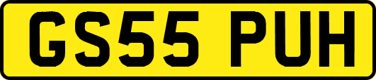 GS55PUH