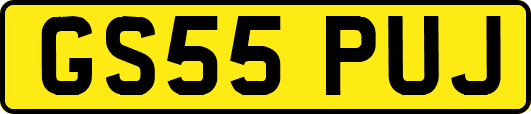 GS55PUJ