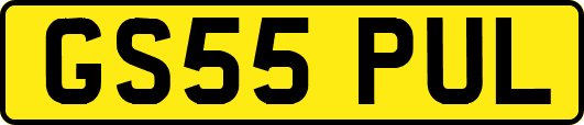 GS55PUL