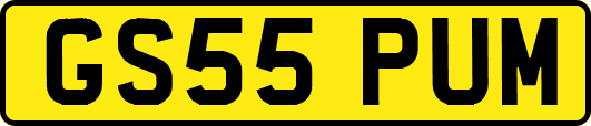 GS55PUM