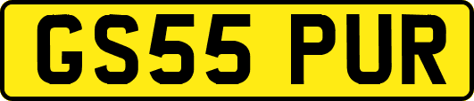 GS55PUR