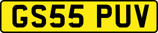 GS55PUV
