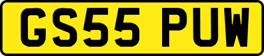 GS55PUW