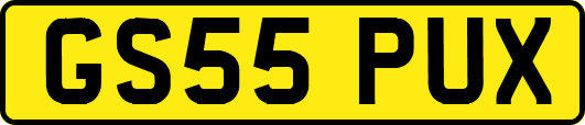 GS55PUX