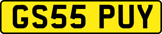 GS55PUY