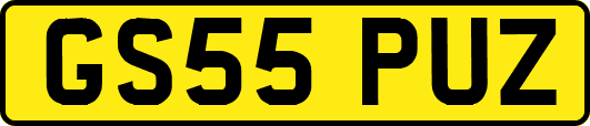 GS55PUZ