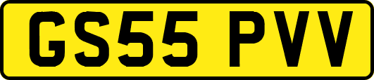 GS55PVV