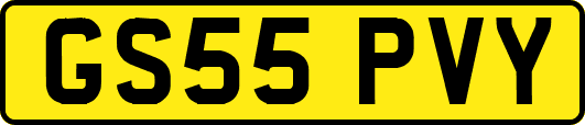 GS55PVY