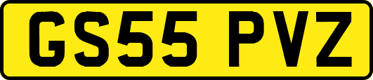 GS55PVZ