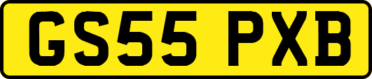 GS55PXB
