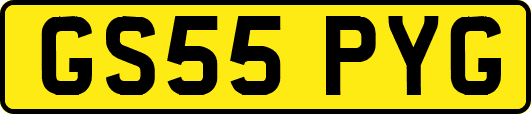 GS55PYG