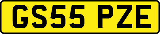 GS55PZE