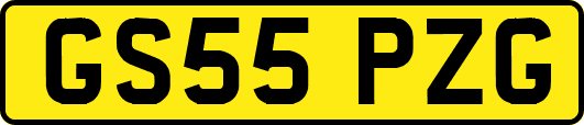 GS55PZG