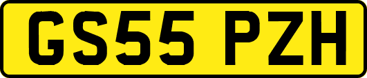 GS55PZH