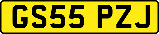 GS55PZJ